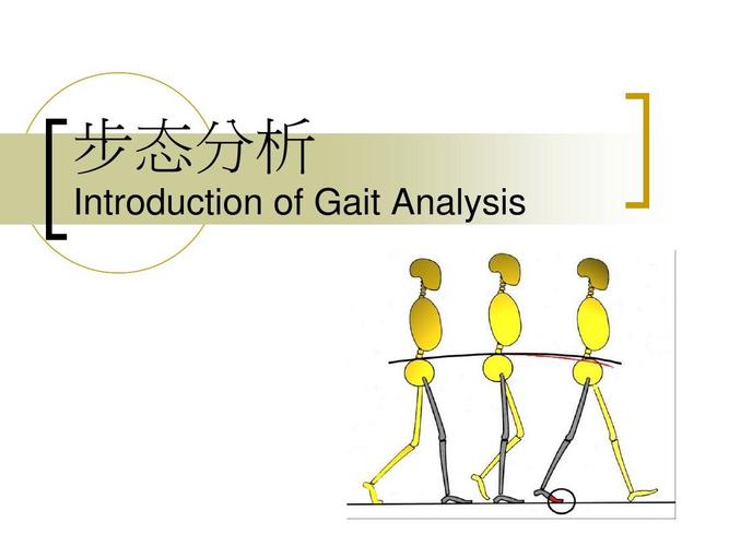 苏黎世联邦理工大学-步态分析研究
