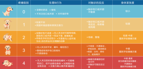 2022WSAVA全球疼痛管理指南如何评估犬猫急性疼痛。