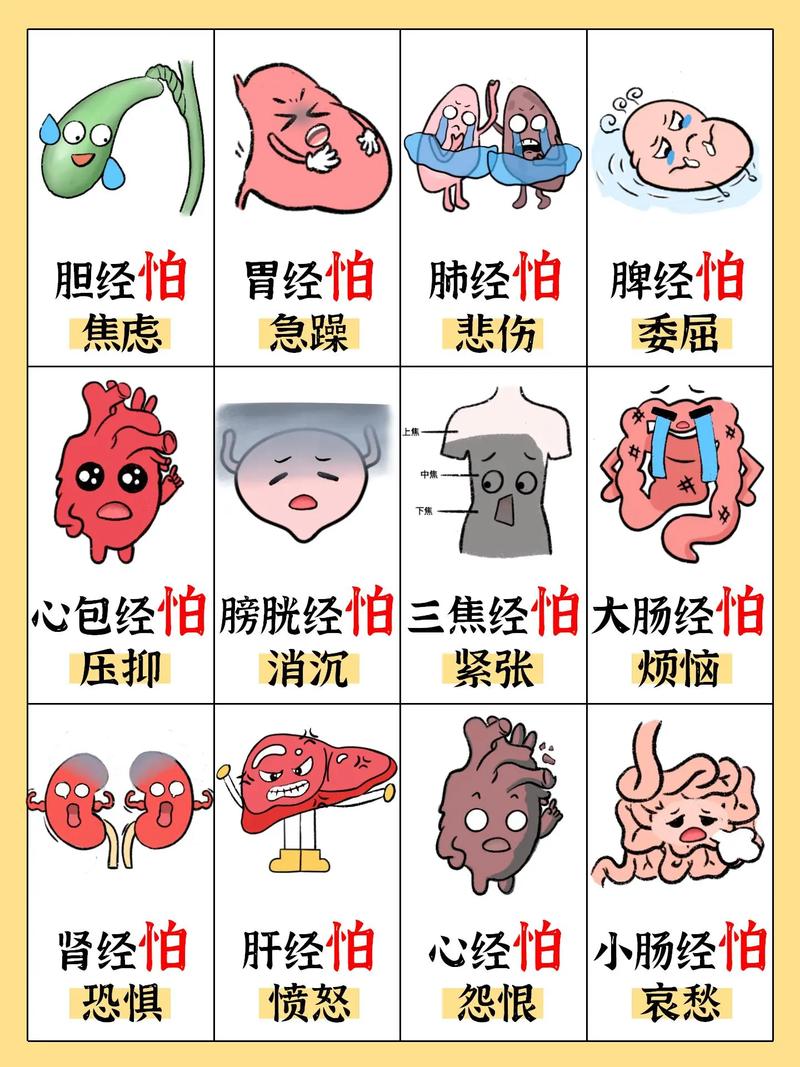 负面情绪严重疏通经络，负面情绪自然消失