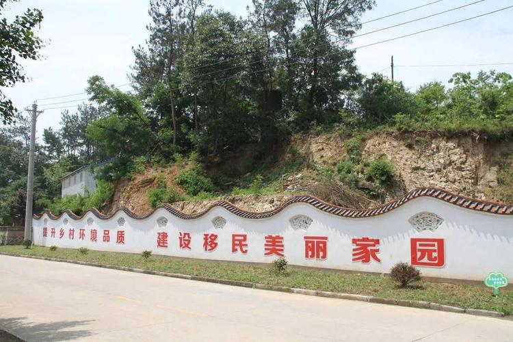 守护绿水青山，共建美丽家园_维修林道资金报告解读