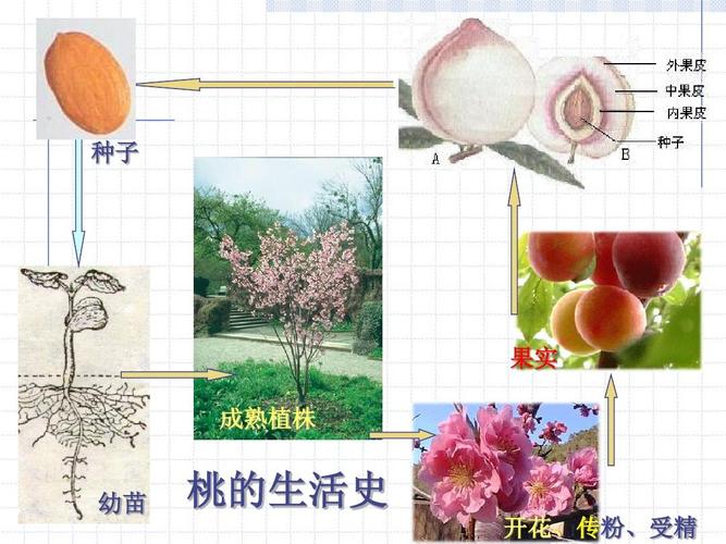 空调调试与维修实训报告解读_技术革新下的绿色生活